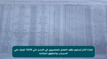 لماذا تأخر تسليم عقود العمل للمصريين في الأردن حتى 2025؟ تعرف على الأسباب والحقوق المتاحة
